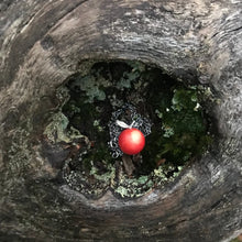 Load image into Gallery viewer, Apple Pendant