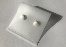 Load image into Gallery viewer, Silver Shell Stud Earrings
