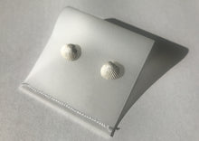 Load image into Gallery viewer, Silver Shell Stud Earrings