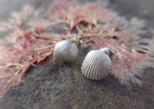 Load image into Gallery viewer, Small Cast Silver Shell Stud Earrings, sparkle like the sea. Pilgrim Symbol.