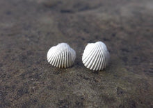 Load image into Gallery viewer, Sea Shell silver stud earrings