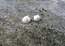 Load image into Gallery viewer, Tiny sea shell silver stud earrings
