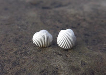 Load image into Gallery viewer, Sea Shell silver stud earrings
